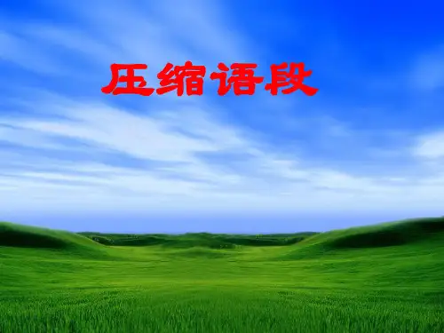 新闻类语段压缩(完美课件)