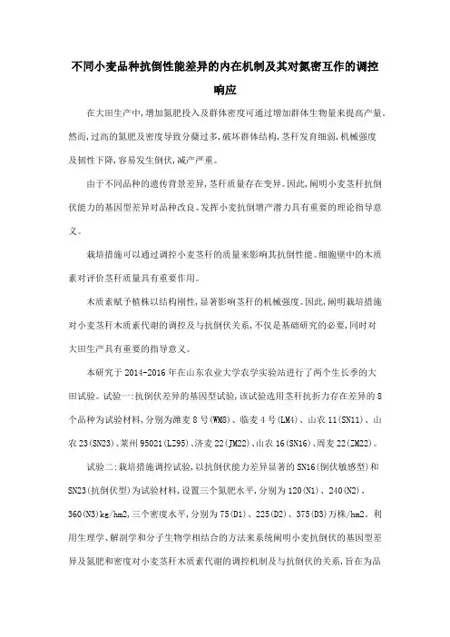 不同小麦品种抗倒性能差异的内在机制及其对氮密互作的调控响应