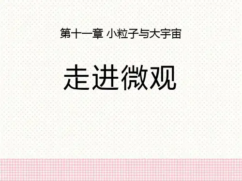 《走进微观》小粒子与大宇宙ppt课件
