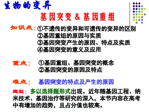 高三一轮复习课件基因突变和基因重组