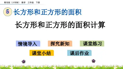 2022年青岛版(六三制)小学《长方形和正方形的面积计算》精品课件(推荐)