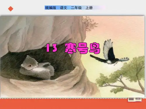 《寒号鸟》课件(共65张PPT)