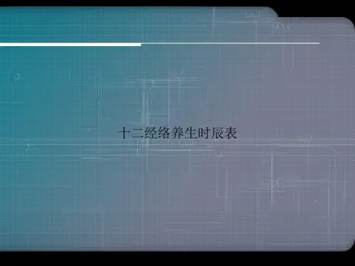 十二经络养生时辰表优选演示