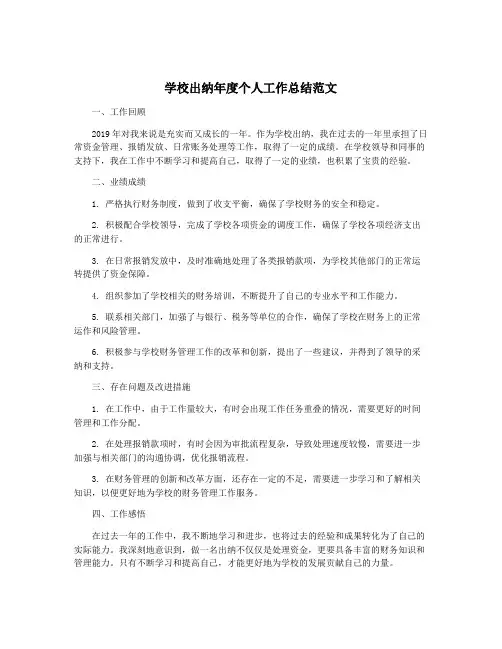 学校出纳年度个人工作总结范文
