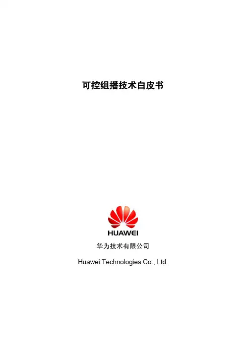 可控组播技术白皮书