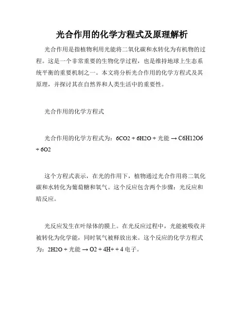 光合作用的化学方程式及原理解析