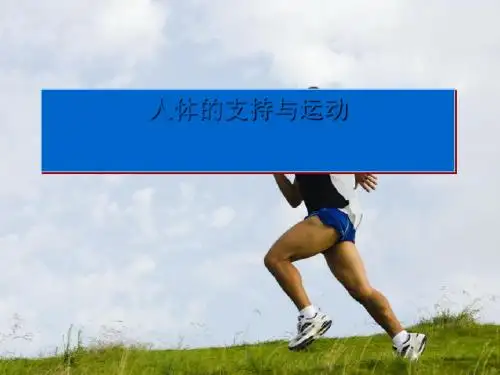 【初中生物】人体的支持与运动ppt1