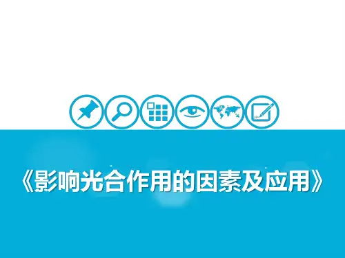 呼吸作用与光合作用 [5]影响光合作用的因素及应用 课件 2021届高考一轮复习生物(共21张PPT)