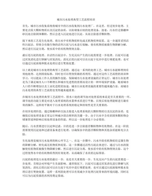 城市污水处理典型工艺流程培训