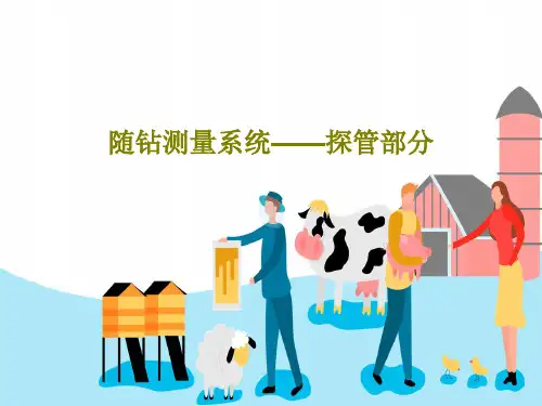 随钻测量系统——探管部分共41页文档