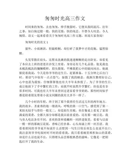 匆匆时光高三作文