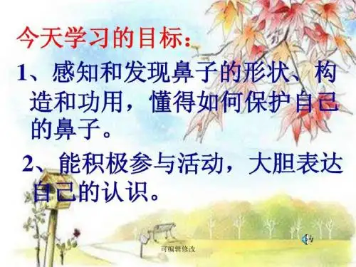鼻子的故事PPT课件