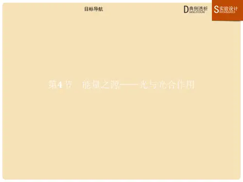 高中生物 第五章 细胞的能量供应和利用 5.4 能量之源——光与光合作用课件 新人教版必修1