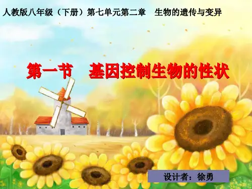 八年级生物(下)第7单元第二章复习