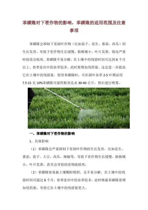 苯磺隆对下茬作物的影响,苯磺隆的适用范围及注意事项