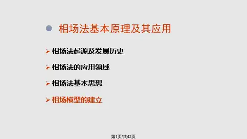材料加工中的数值模拟方法-微观组织数值模拟(4)PPT课件