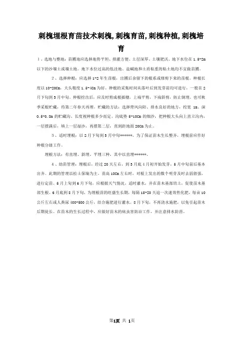 刺槐埋根育苗技术刺槐,刺槐育苗,刺槐种植,刺槐培育