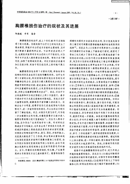 胸腰椎损伤治疗的现状及其进展