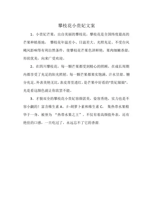 攀枝花小贵妃文案