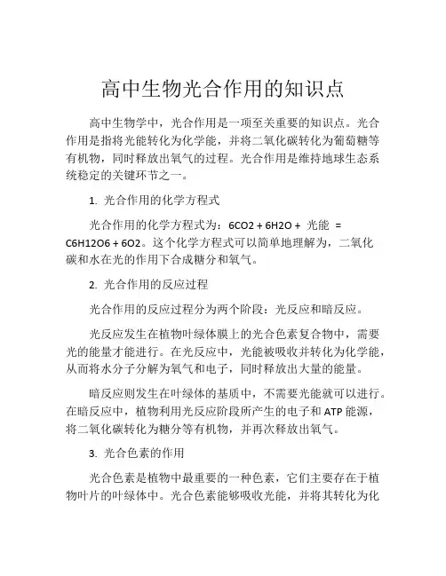 高中生物光合作用的知识点