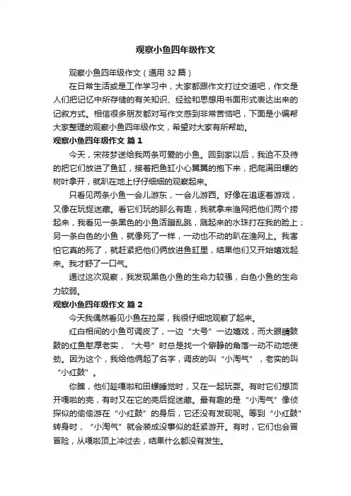 观察小鱼四年级作文（通用32篇）