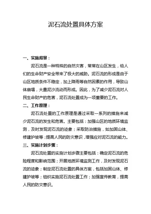 泥石流处置具体方案(八)