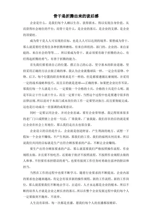 骨干是折腾出来的读后感