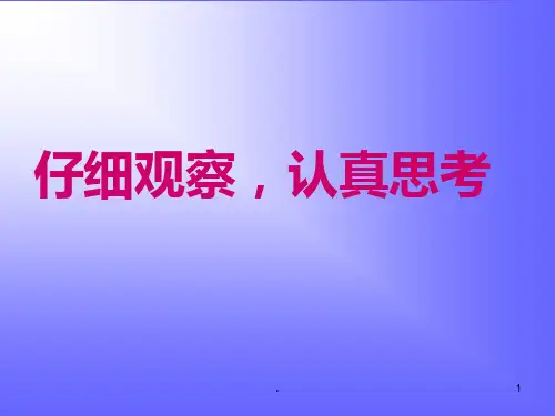 《面包发霉了》PPT课件