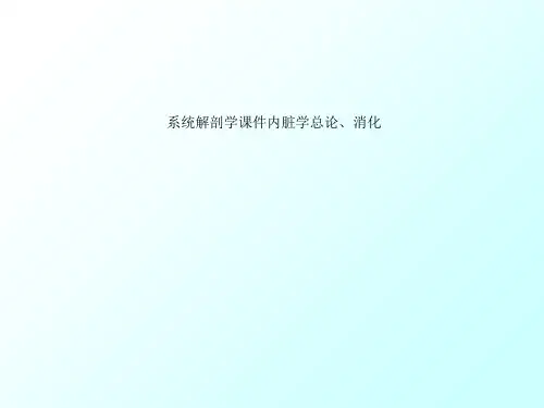 系统解剖学课件内脏学总论、消化