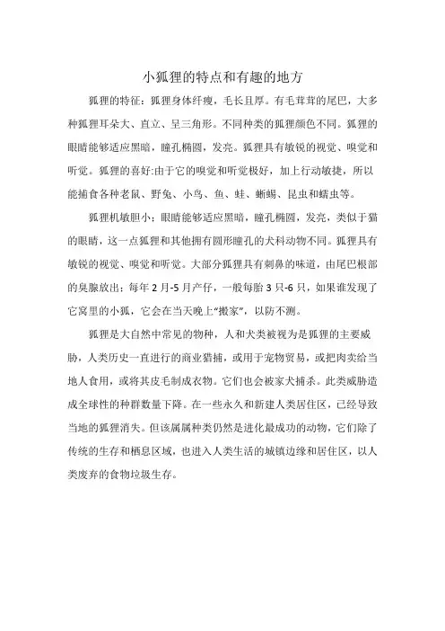 小狐狸的特点和有趣的地方