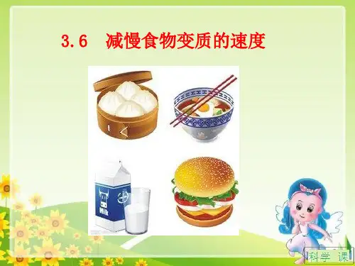 四年级下册科学_减慢食物变质的速度教科版(15张)标准课件