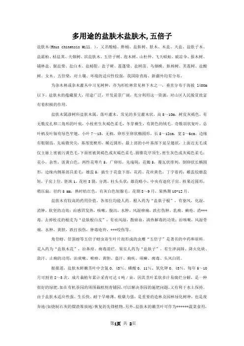 多用途的盐肤木盐肤木,五倍子