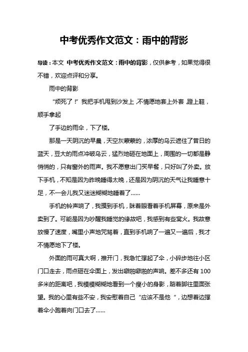 中考优秀作文范文：雨中的背影