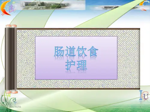 临床医学-护理学-鼻饲,肠道管喂饮食的护理优质课件PPT