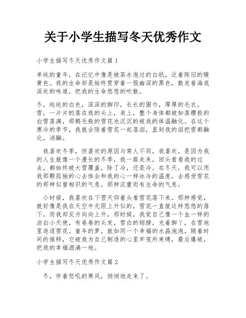 关于小学生描写冬天优秀作文