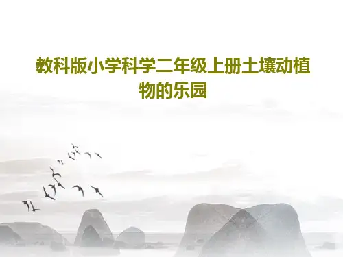 教科版小学科学二年级上册土壤动植物的乐园24页PPT