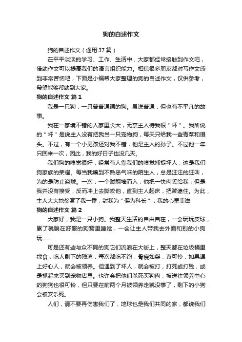 狗的自述作文