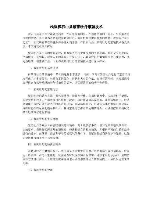浅谈积石山县紫斑牡丹繁殖技术