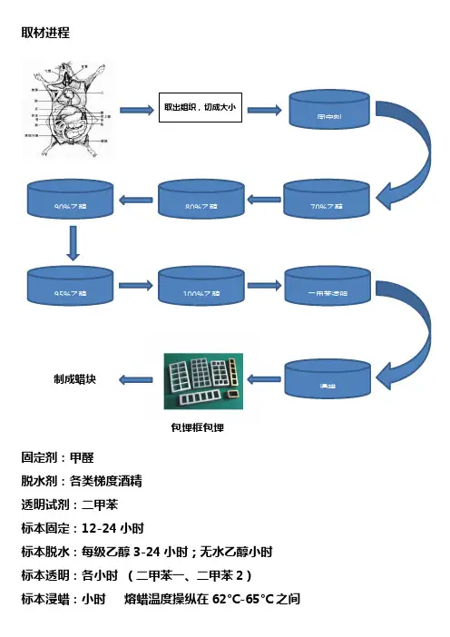 病理标本取材切片流程图