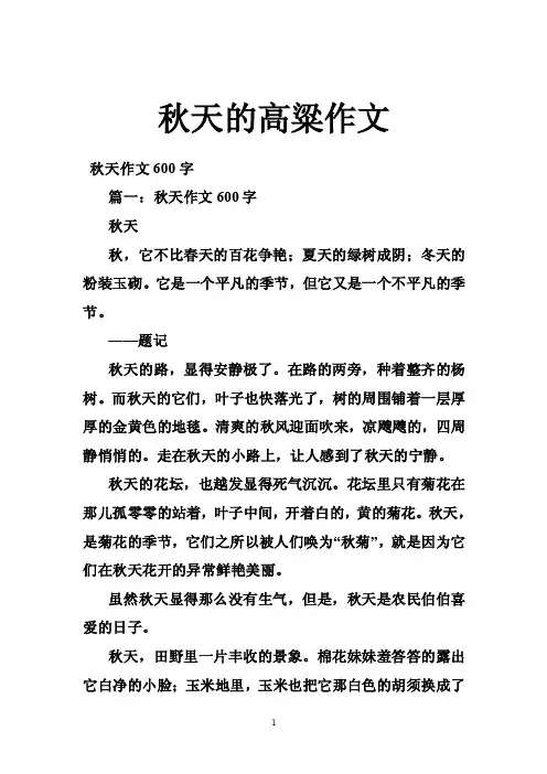 秋天的高粱作文