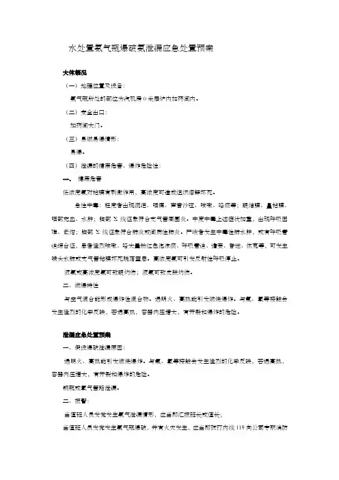 氨气泄漏应急处置预案