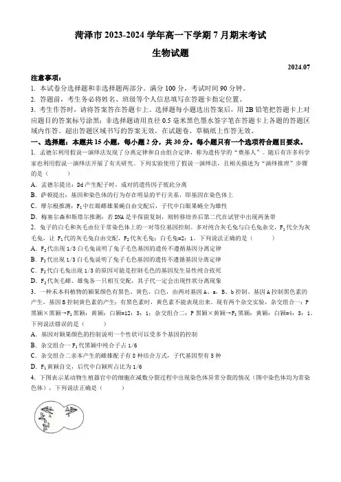 山东省菏泽市2023-2024学年高一下学期7月期末考试生物学试题(含答案)