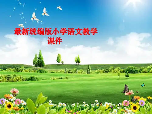 统编版人教版五年级语文上册精品课件19 父爱之舟 第二课时  (共20张)