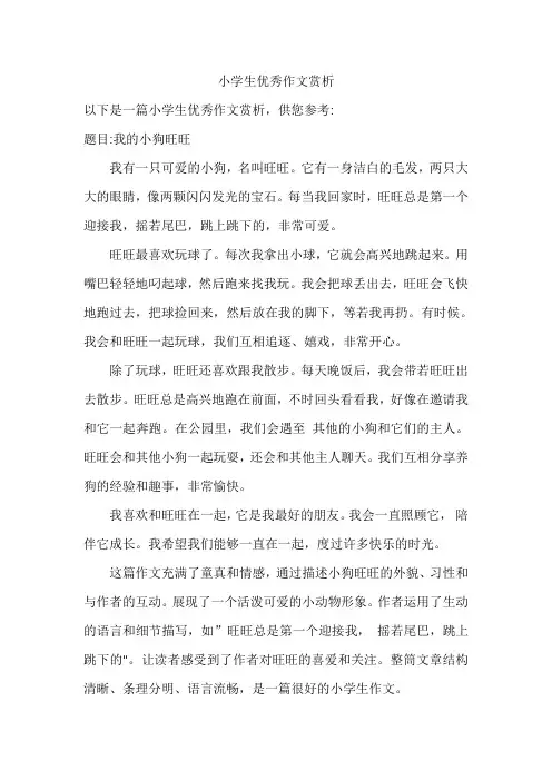小学生优秀作文赏析