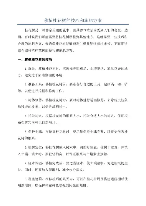 移植桂花树的技巧和施肥方案