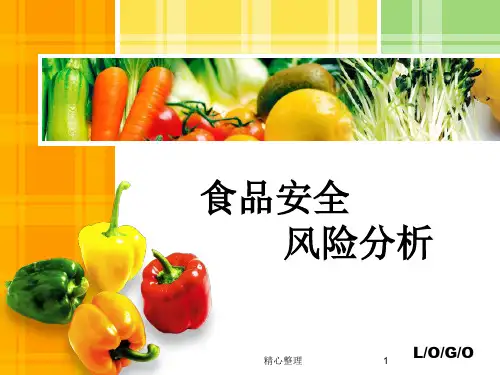食品安全风险分析详细版.ppt