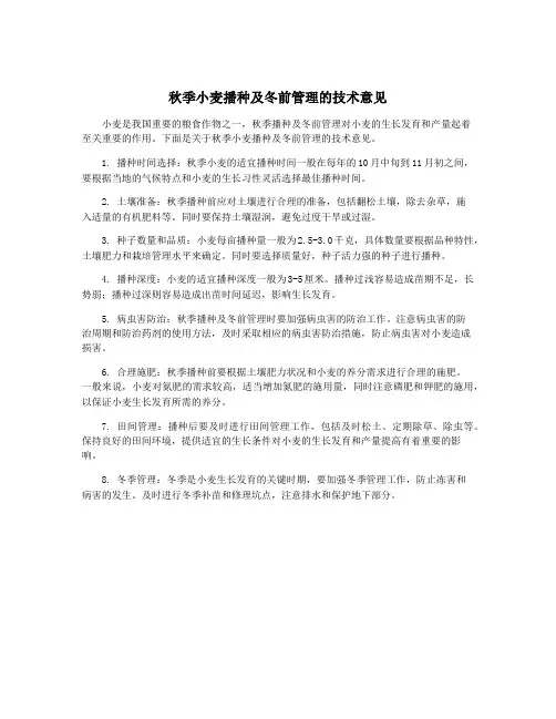 秋季小麦播种及冬前管理的技术意见
