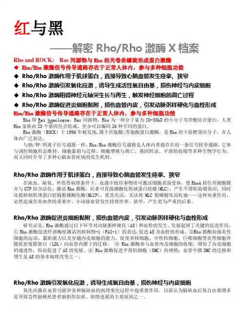Rho激酶