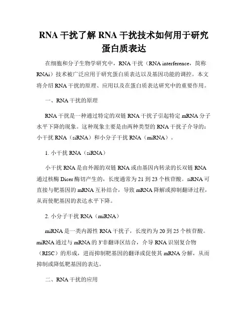 RNA干扰了解RNA干扰技术如何用于研究蛋白质表达