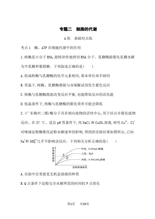 高考生物学二轮总复习课后习题 专题2 细胞的代谢 (5)